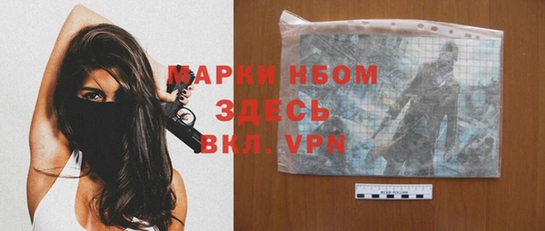 стаф Аркадак