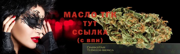 стаф Аркадак