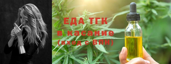 стаф Аркадак