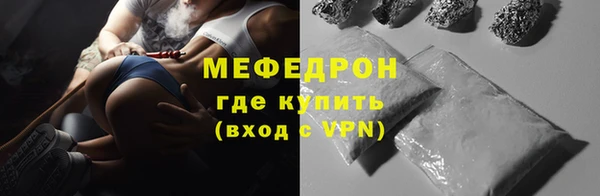 стаф Аркадак