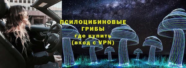 стаф Аркадак