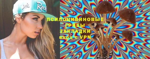 PSILOCYBIN Ростов